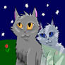 Graystripe and Silverstream