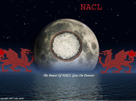 The Path of NACL