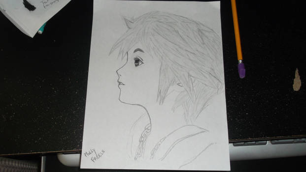 Sora Drawing