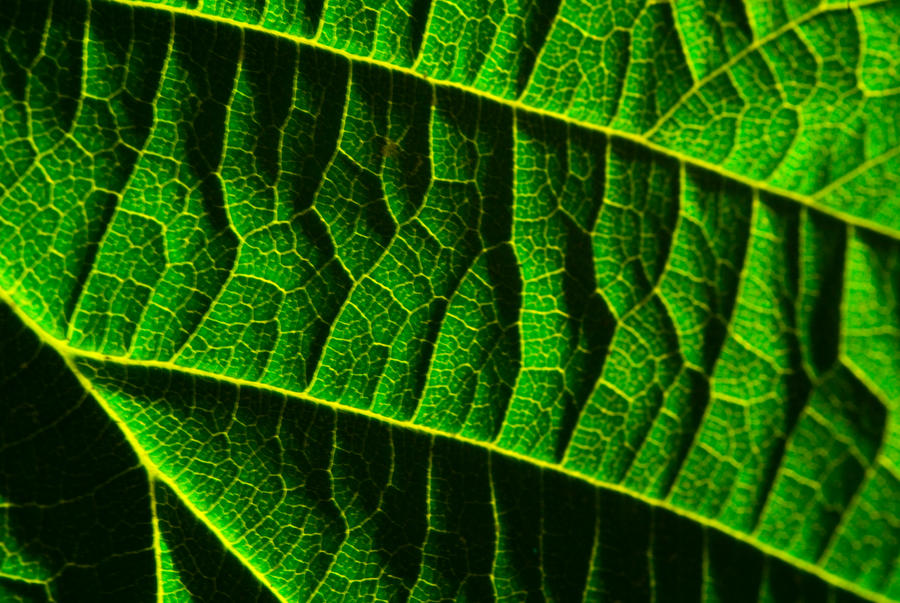 Green power by Starmotion on DeviantArt