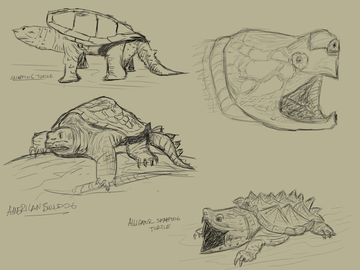 Snapping Turtle Sketch by Ugurhanb on DeviantArt