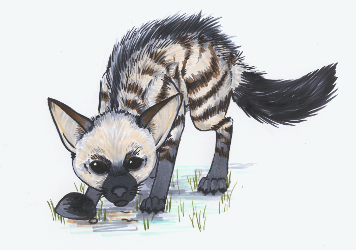 Aardwolf