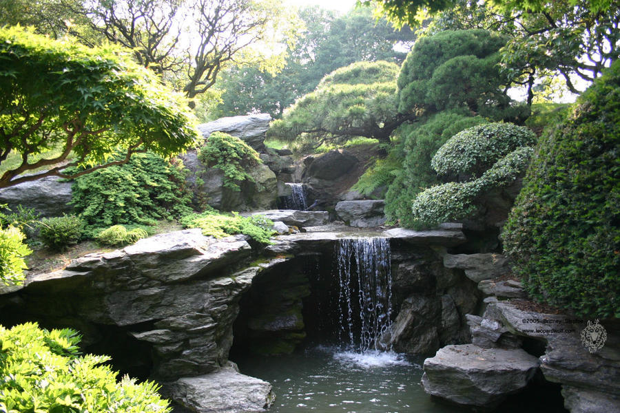 Japanese Garden 4