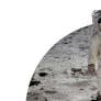 Astronaut on Moon Transparent Background