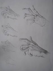 Nevart-anatomy lesson-15