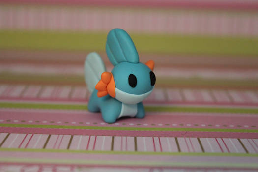 pocket mudkip