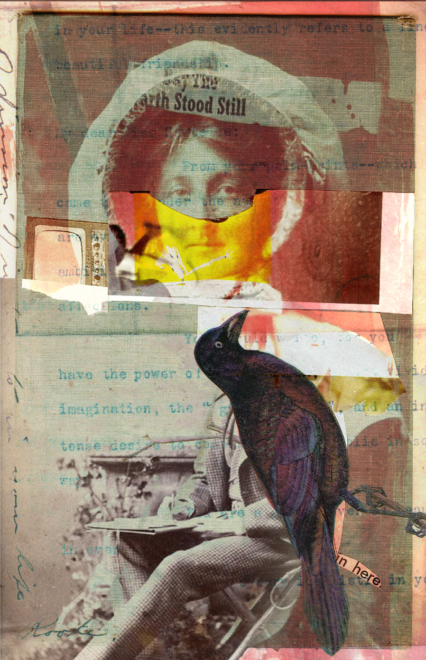 Black bird, black bird, do you caw for me? by nodah