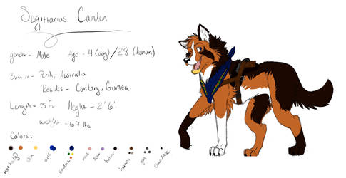 Sagittarius Camden Color Ref