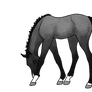 Foal Design for RinaKisaragi