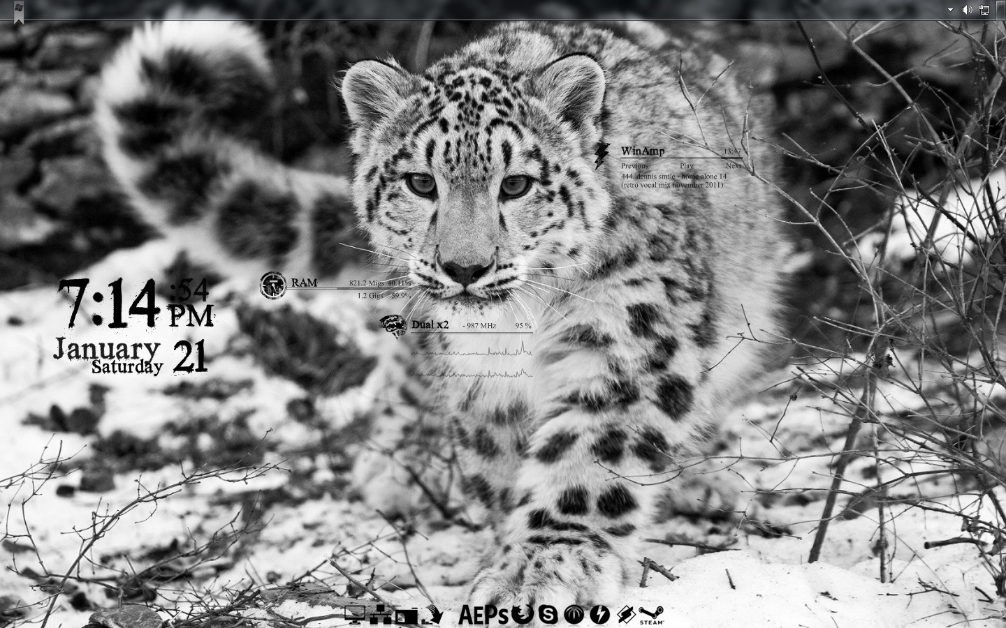 Snow Gepard - 21 January 2012