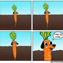 Carrot Dog