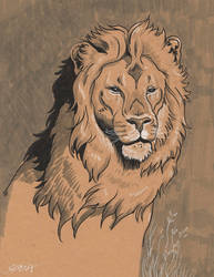 Lion Portrait