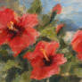 Slopgarten Part XIII - Hibiscuses
