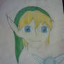 Link and Navi