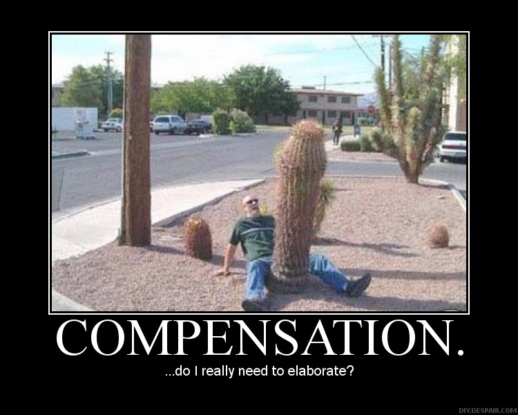 Compensation.