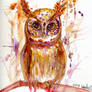 Autumn Owl