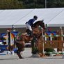 Show Jumping Stock 015
