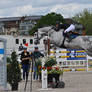 Show Jumping Stock 028