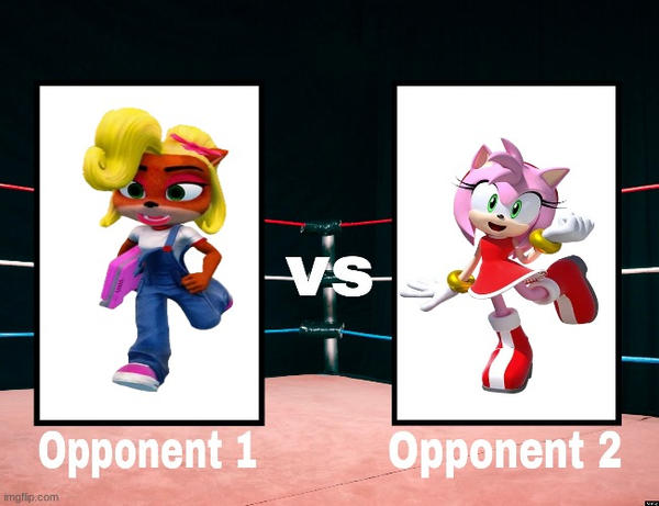 Coco Bandicoot vs Amy Rose Wrestling Match by NeoTheBat100 on DeviantArt