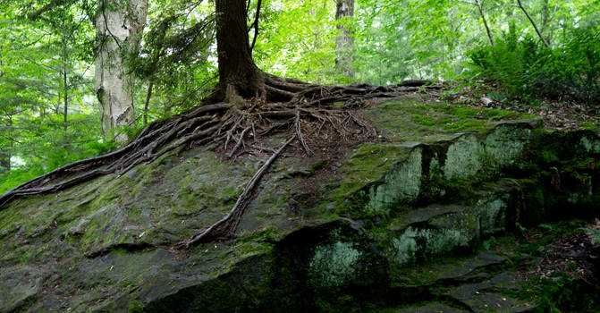 Mill and Stream Composite Project 5