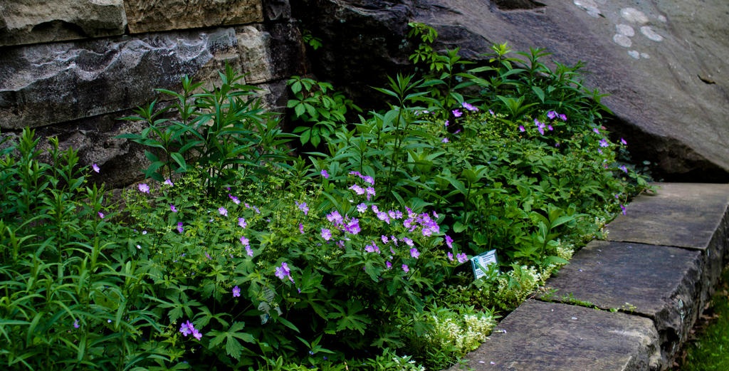 Mill and Stream Composite Project 55