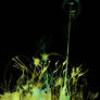 WDV - 507 - Communications' Growing Tendrils