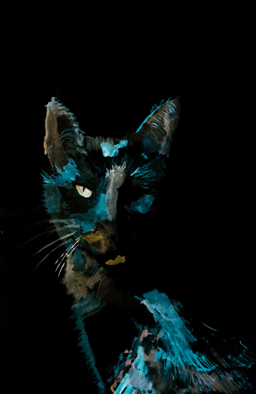 WDVP - 0008 - Quiet Glory (Pet Portrait)