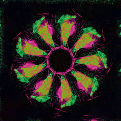 STP Screen Transfer Process - xxxx - WDVMM - 816 -