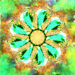 STP Screen Transfer Process - xxxx - WDVMM - 816 -