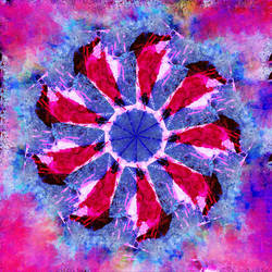 STP Screen Transfer Process - xxxx - WDVMM - 816 -