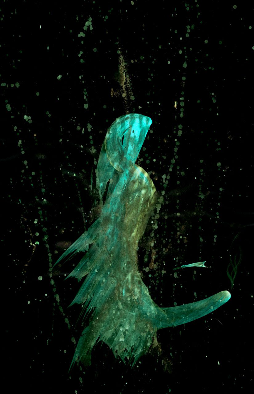 MerMay For Some Reason