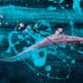 WDVMM Abstracts Inked