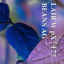 Photo Book Drop