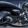 Temeraire, Celestial