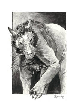 2017 01 31 Daily Sketch