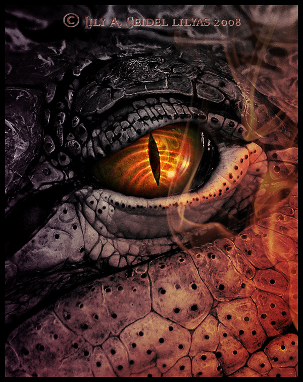 Dark Fire Dragon by Lilyas