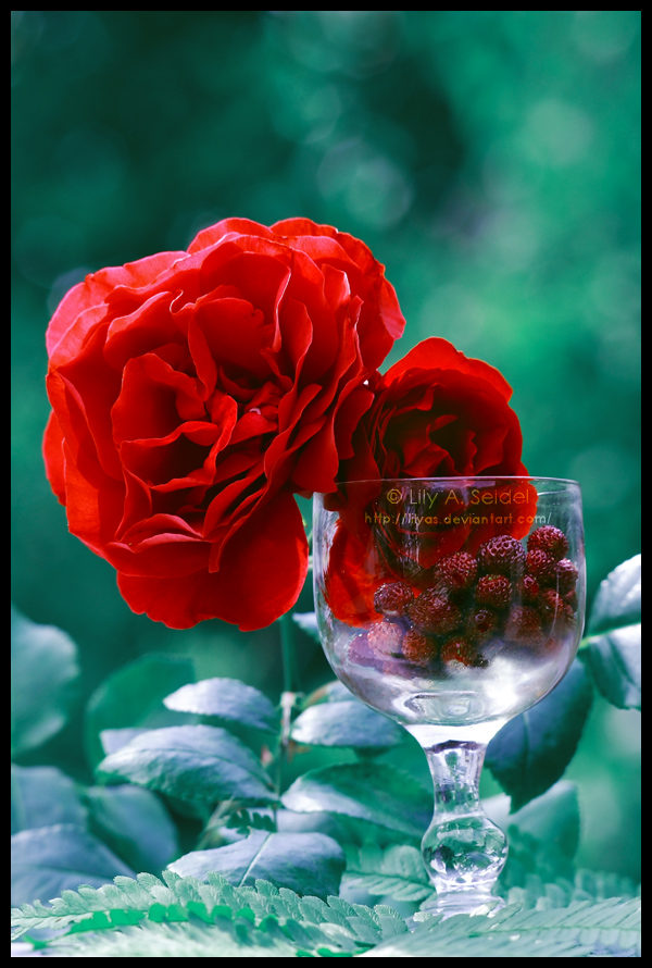 Strawberry Breakfast