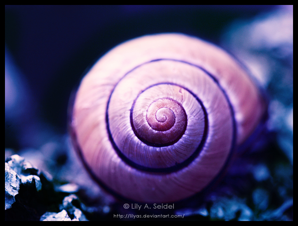 Infinite LOVE by Lilyas