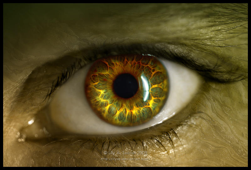Золотые глаза 6. Золотые глаза. Янтарные глаза. Золотистый цвет глаз. Зелено янтарные глаза.