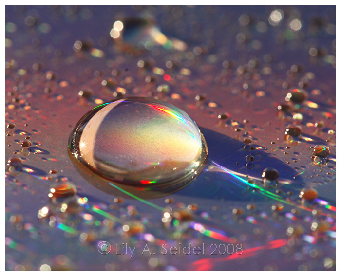 Spectrum I by Lilyas