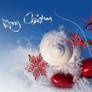 Merry Christmas CARD