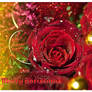 Rosy Christmas CARD