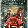 Vintage Christmas CARD