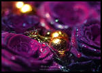 Purple Christmas by Lilyas