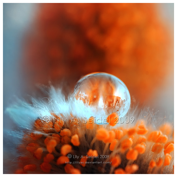 .:Eternal Flame:.