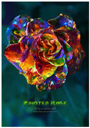 Painted Rose