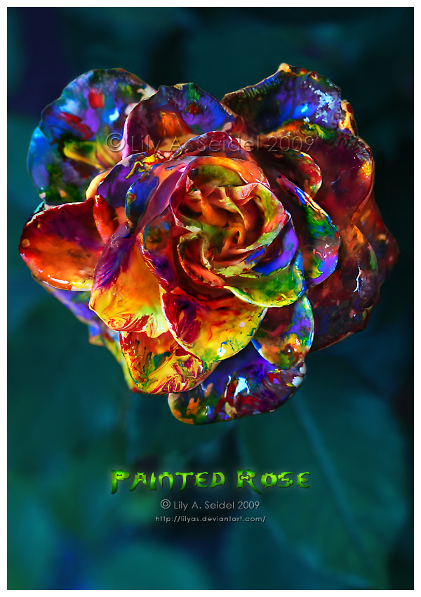 Painted Rose