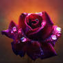Celestial Rose