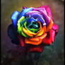 Rainbow Dream Rose