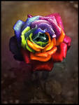 Rainbow Dream Rose II by Lilyas